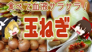 【ゆっくり解説】玉ねぎの栄養について解説！