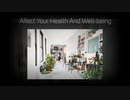 Home Decor Ornaments