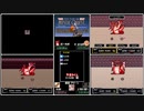 RTAinbiim2022 FF USA ミスティッククエスト 並走
