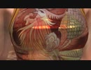 DOA5LRリョナ紳士向け「レイファンの敗北シーンを堪能する」