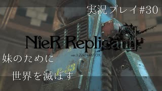 【ニーアレプリカント】誰かのために全てを滅ぼすPart30