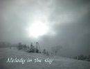 『Melody in the sky』を歌ってみた★にあわせてみた★