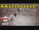 #27 【ドラゴンクエストⅩオフライン】サブクエやってこう！【目覚めし五つの種族】※ネタバレ注意