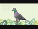 ポポーでもボーボボーでもなく例のアレ　二重音声で効果音ボイスやってみたｗ