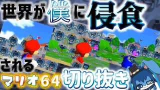 【マリオ64】自分の顔を世界に広めた(物理)VTuber - 前編【新人VTuber/歴史  毛物】