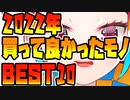 2022年買って好かったものBEST10！【漫画家Vtuberかなしみちゃん生放送～第372回】