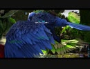【ARK Survival Evolved】実況プレイ140