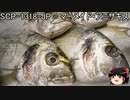 ゆっくりと一緒にSCPを紹介したい！その116【SCP】
