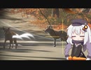 広大な大自然で狩りをするあかりちゃんのtheHunter: CotW#27