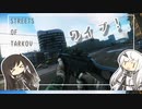 ミリアルのサクサク？タルコフ part17 ～ワイプ！～