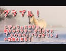 【グランブルーファンタジー Part438】レジェフェスがきた。新キャラクタークリスマス「 エウロペ」「フィオリト 」の性能を見る！