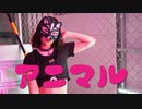 【belia】アニマル / DECO*27 踊ってみた