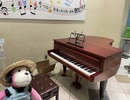 【まらしぃオリジナル】Andrømeda弾いてみた【ストリートピアノ】
