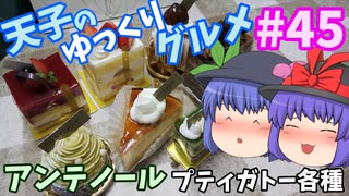 天子のゆっくりグルメ#45「アンテノール」プティガトー各種