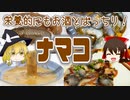 【ゆっくり解説】ナマコの栄養について解説！