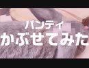 パンティをかぶるドスケベ変態うさぎ