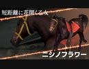 【実況】Winning Post9 2022 ～トワノ一門競走記～ part14
