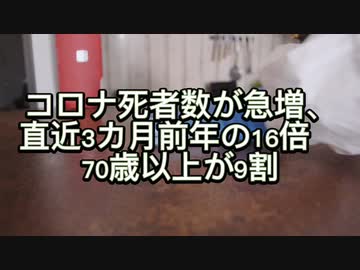 コロナ死者数が急増、直近3カ月前年の16倍　70歳以上が9割