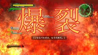 EDF6 ｰAmazonZｰ Part.35