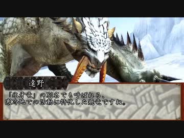 【MHF-Z】ホモンスターハンター淫夢Z Part.52