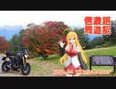 【信濃路周遊記 ４】紅葉の七色大カエデ【レコスタ車載】