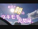 結月と餅のツキモチ見聞録。　第０１話「年の終わりと始まりと」