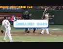 かっこいい審判【卍】詰め合せ