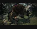 【Dragon’s Dogma  ドラゴンズドグマ】セクシー女戦士＃19　北壁の森林