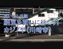 【買い出し日記】納豆を買いに行こう！カジノヤ（川崎）