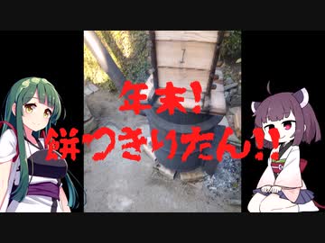 【餅つき】年末！餅つきりたん！！