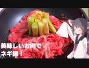 #117【肉】今年1年の元気充電！ネギ鍋！【東北きりたん】