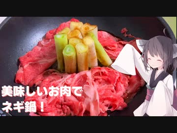#117【肉】今年1年の元気充電！ネギ鍋！【東北きりたん】