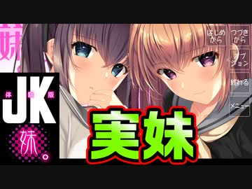 【説明文読んでね】【記憶喪失】#1　実の妹達とえちえちしまくる神ゲーを実況する！【JK妹。】