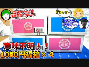 やっぱり正月の一発目は、ドンキのおもちゃ1000円福箱に限るよなぁ！！