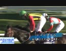【ウマ娘】BLOW my GALE　✖２０２２年競馬G1【競馬MAD】