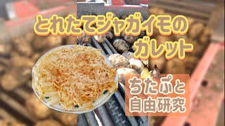 【料理・おつまみ】堀りたてジャガイモの簡単ガレット【ちたぷと自由研究：出張版】