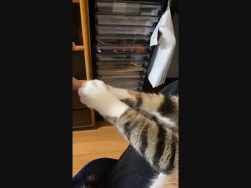 ホモと見るプロの握手