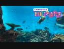 【ゆっくり】鹿児島 ぶらり気まま旅 その5 かごしま水族館＆食べ歩き
