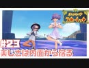 【初見】ジーマーでゴイスー！【ポケットモンスター スカーレット】#23