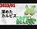 2023/01　これグラ読むんだもん【ずんだもん解説動画】