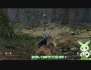 トカゲ忍者が逝くSEKIRO　その12