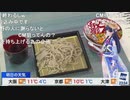 【ポン子】ゆくポンくるポン その2【年越し】