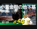 小黄金樹の地下墓を探索してインプと交流したり腐敗した大きい敵と戯れたりします【初見】エルデンリング実況／盗賊王物語【オフライン】#54