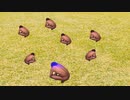 射撃訓練中に無くした薬莢を皆で探すタクヤさん
