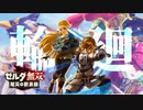 【MAD/AMV】二度と失ってたまるか【ゼルダ無双-厄災の黙示録-（ゼルダの伝説）】