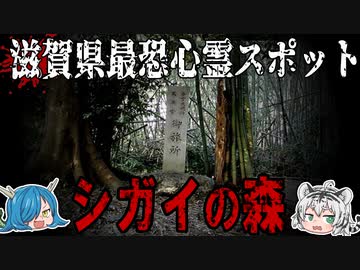 女たちの視線を感じる…滋賀県最恐の心霊スポット「シガイの森」とその他【ゆっくり解説】