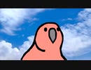 ノリノリparrot
