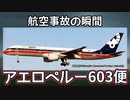 航空事故の瞬間：アエロペルー603便