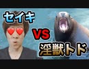 セイキ VS 淫獣トド？　〜北海道の旅2015〜