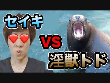 セイキ VS 淫獣トド？　〜北海道の旅2015〜